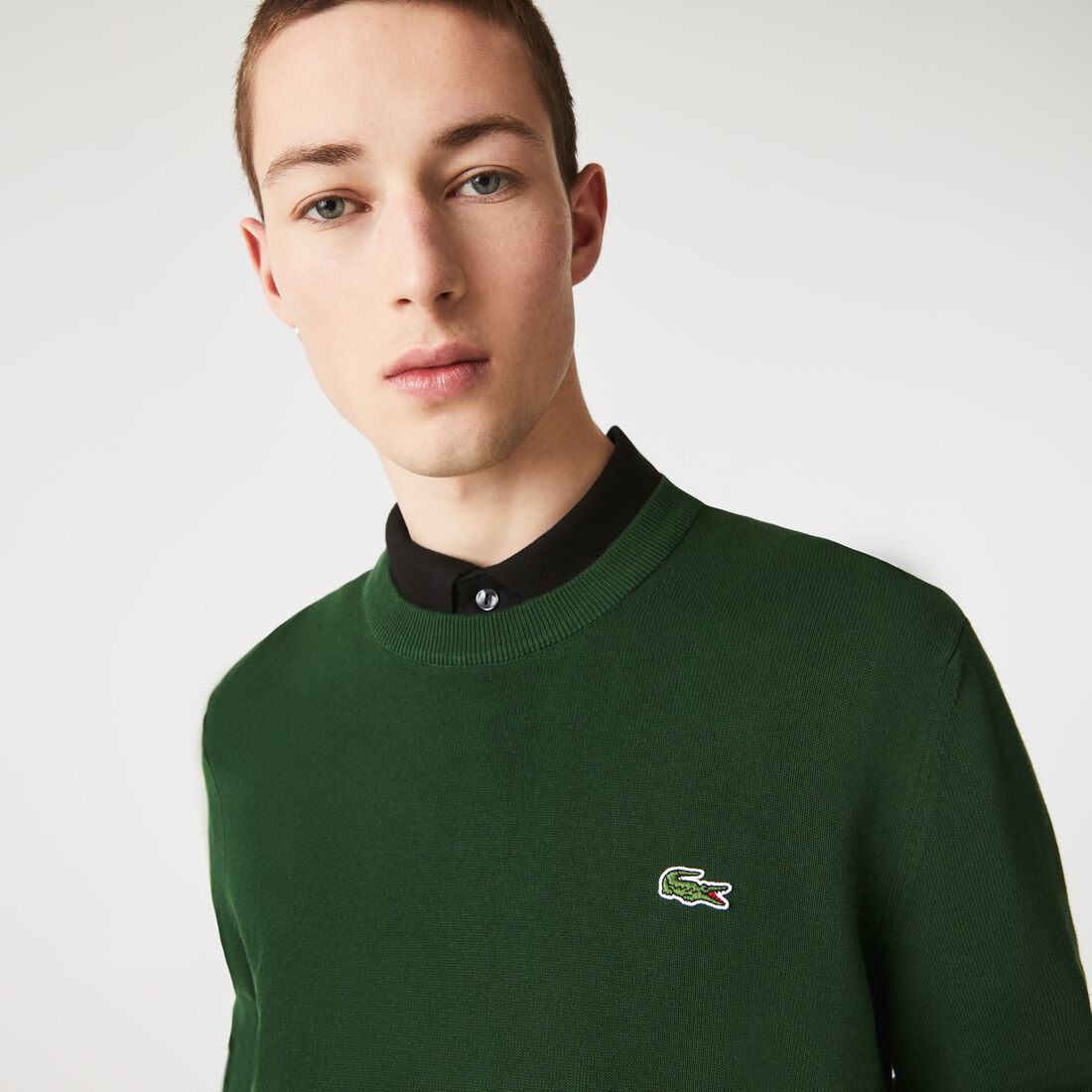 Lacoste Organic Baumwoll Crew Neck Pullover Herren Grün | KYQC-08497